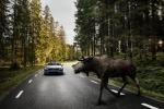 Volvo S90 T6 Inscription 2016 года